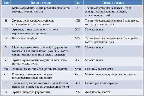 Рейтинг лучших препаратов морского коллагена на 2024 год