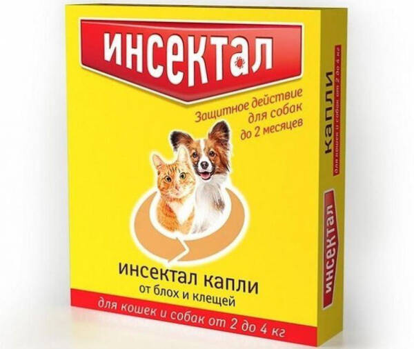 Топ- 10 лучших капель от блох и клещей для кошек и собак, как подобрать?